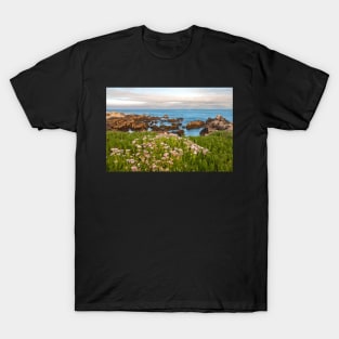 Coastal Daisies T-Shirt